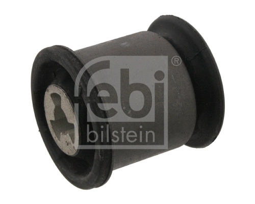 Mounting, control/trailing arm